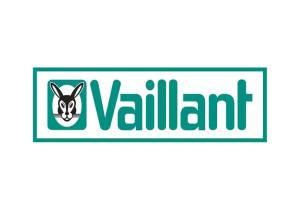 Запчасти для водонагревателей Vaillant