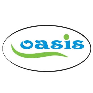 Электрические котлы Oasis